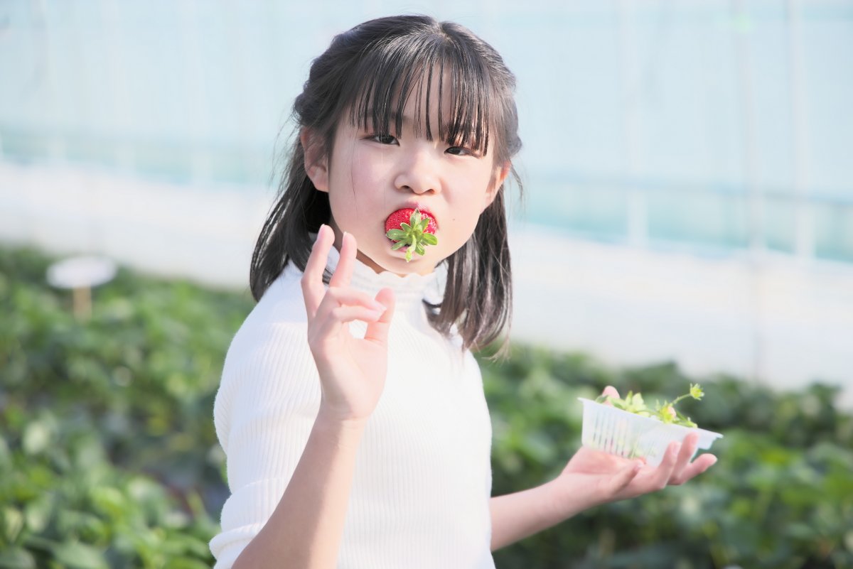 ぴよ (@airinrin0208) / Posts / X