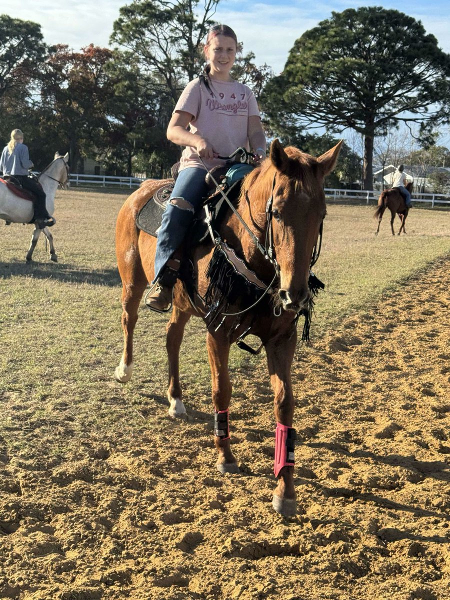 Two horses you saved from slaughter. Their new names Scout and Nova to signal their new chapter in life. Previously known as Devon and Andrew. Thank you everyone for giving these two a chance and allowing the to find their own kids! Saved 4-6 mths ago