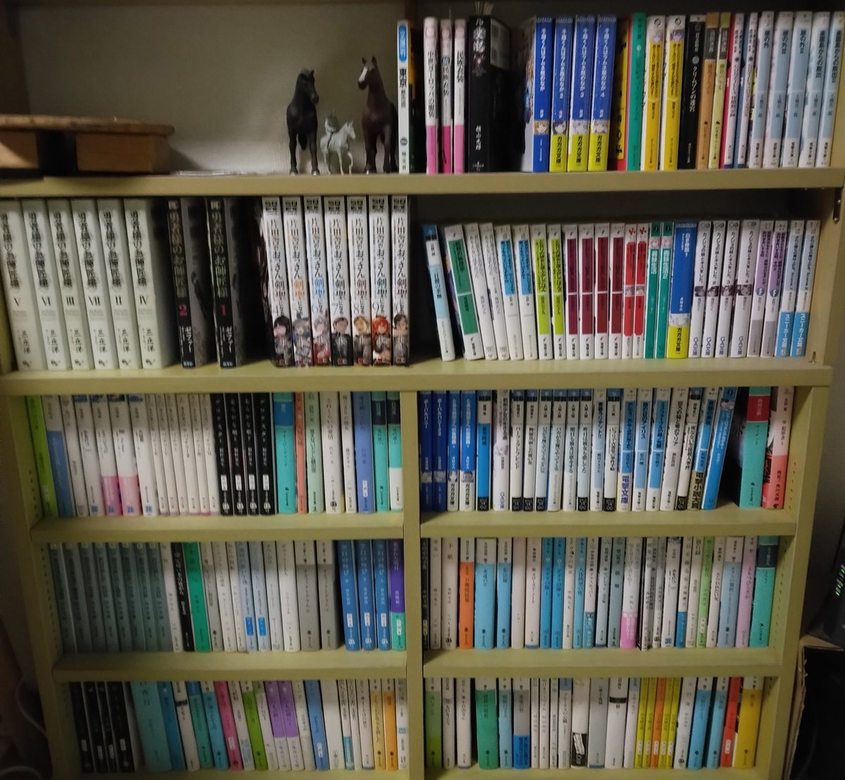 zepher_make's tweet photo. 詰ん読本が増えてきたなー、と思って数えてみたら、二百冊以上ありました。オバロ、剣聖、銀英伝以外は、ほぼ手付かずです。でも新刊出たら買っちゃうんだよねえ https://t.co/6mmn6pdHwQ