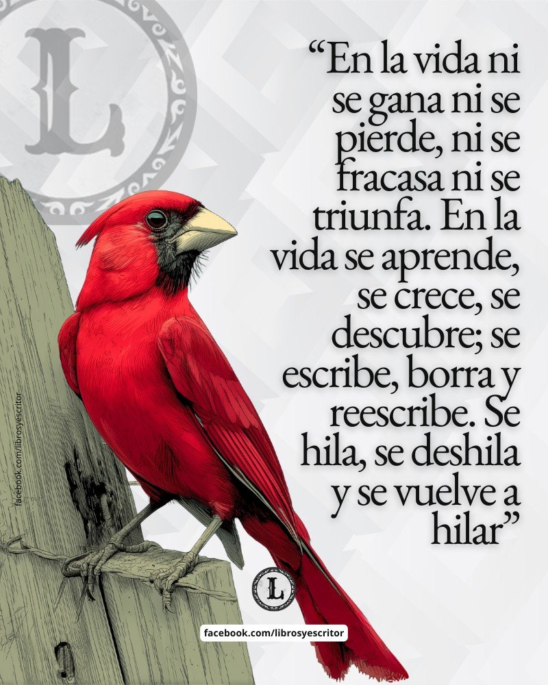 Libros y escritores tweet media