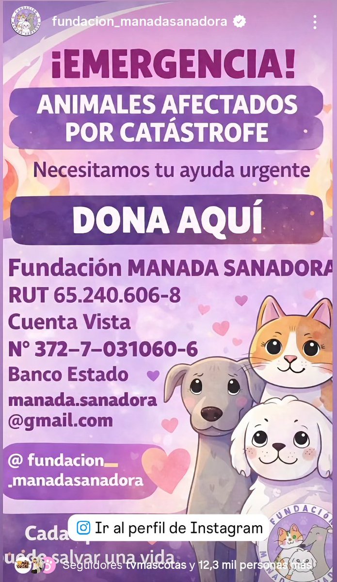 #IncendiosForestales hay muchos animalitos quemados rescatados😭 , si quieren aportar : 
instagram.com/stories/fundac…
