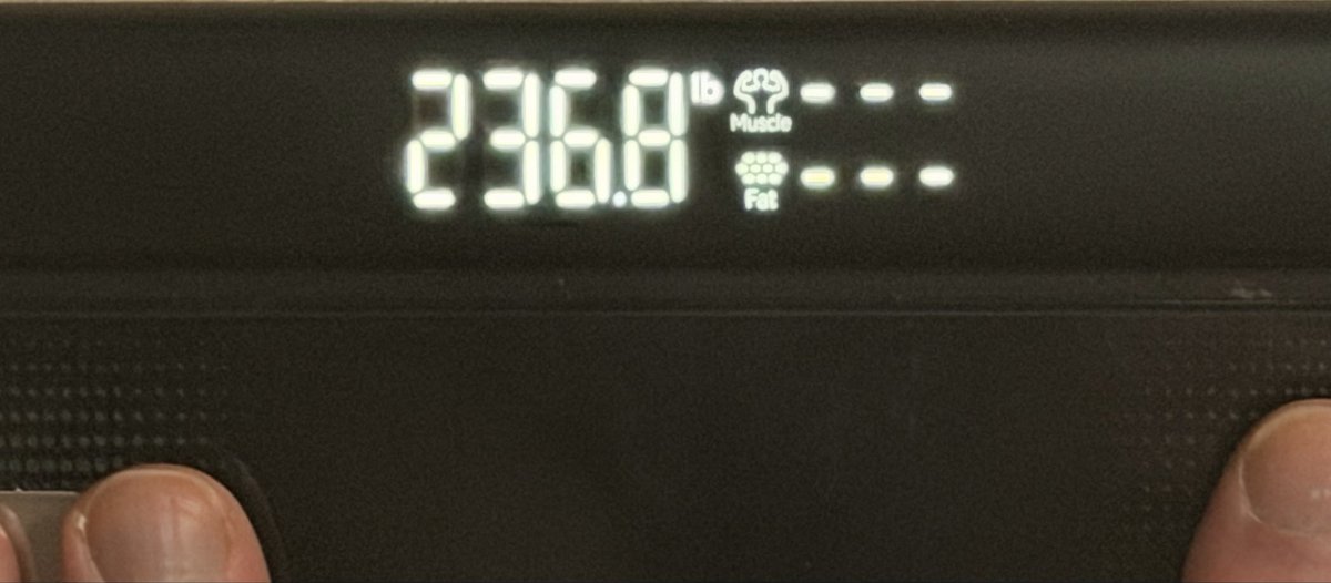 Midlife Rebuild | Day 1 of 261 tweet media