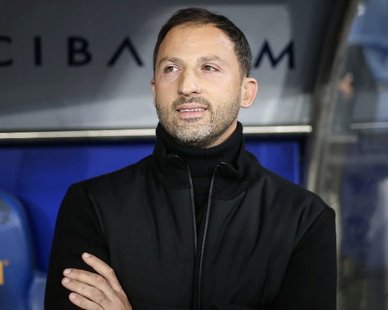 Fener Editör tweet media