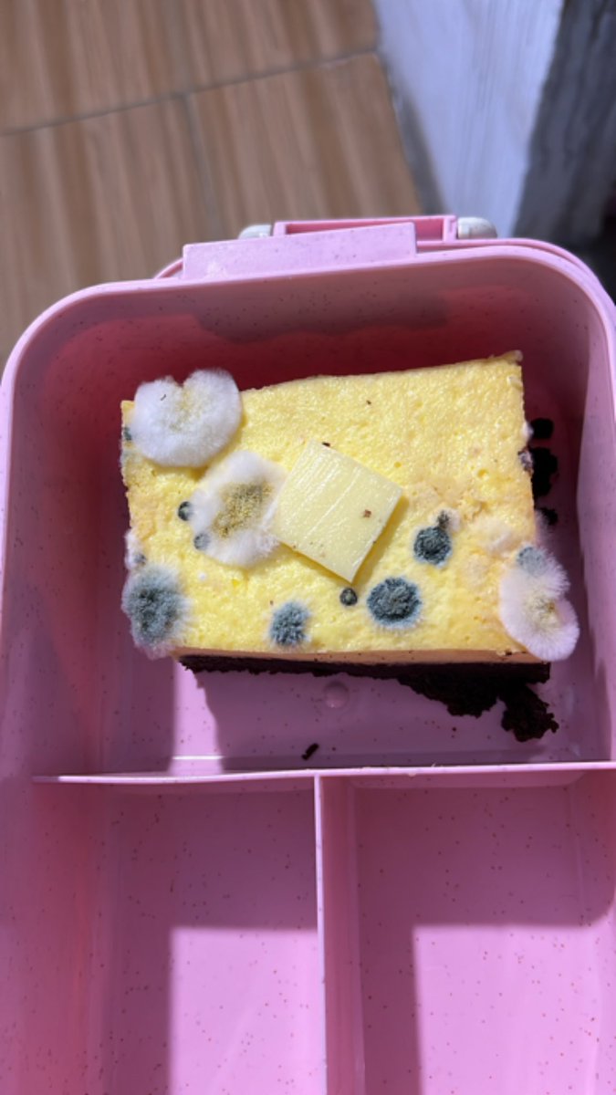 kimukizara's tweet image. pantesan...