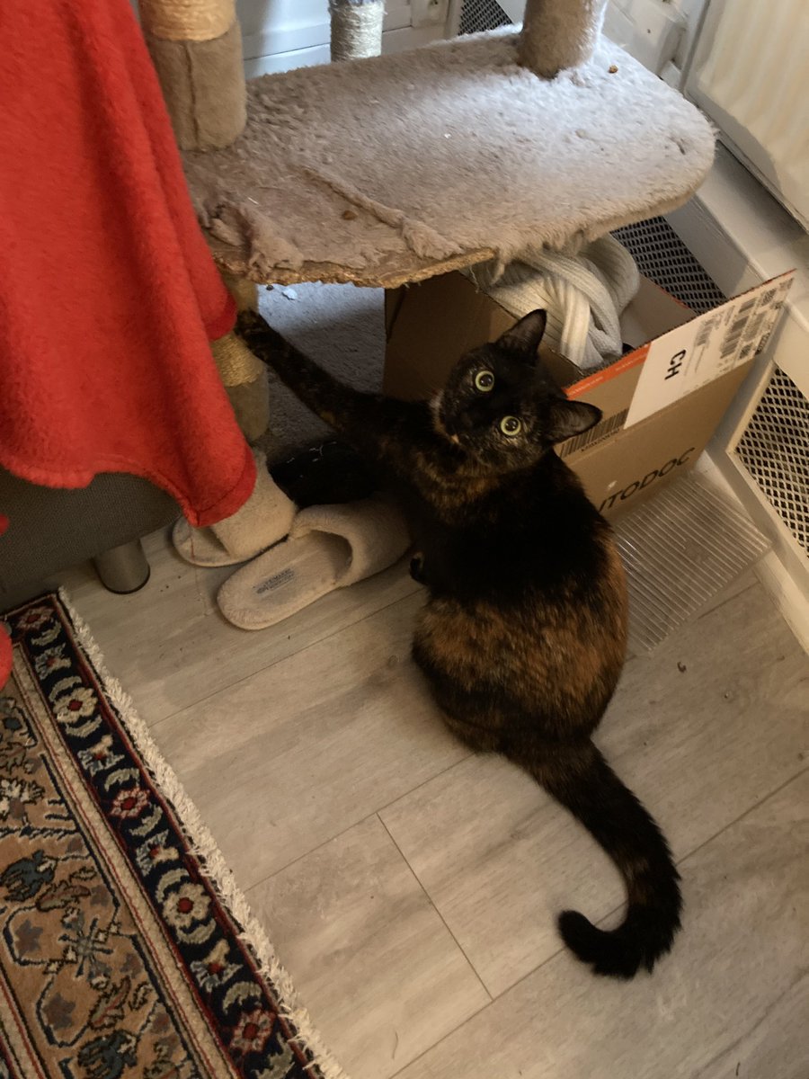 tu t’es coincée toute seule Powder pourquoi tu me regardes comme ça