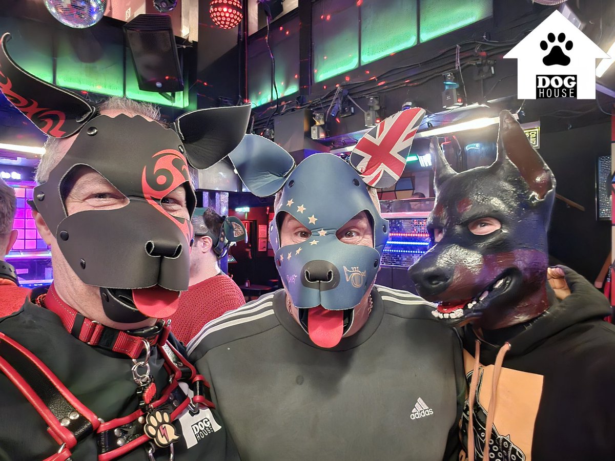 Dog House tweet media