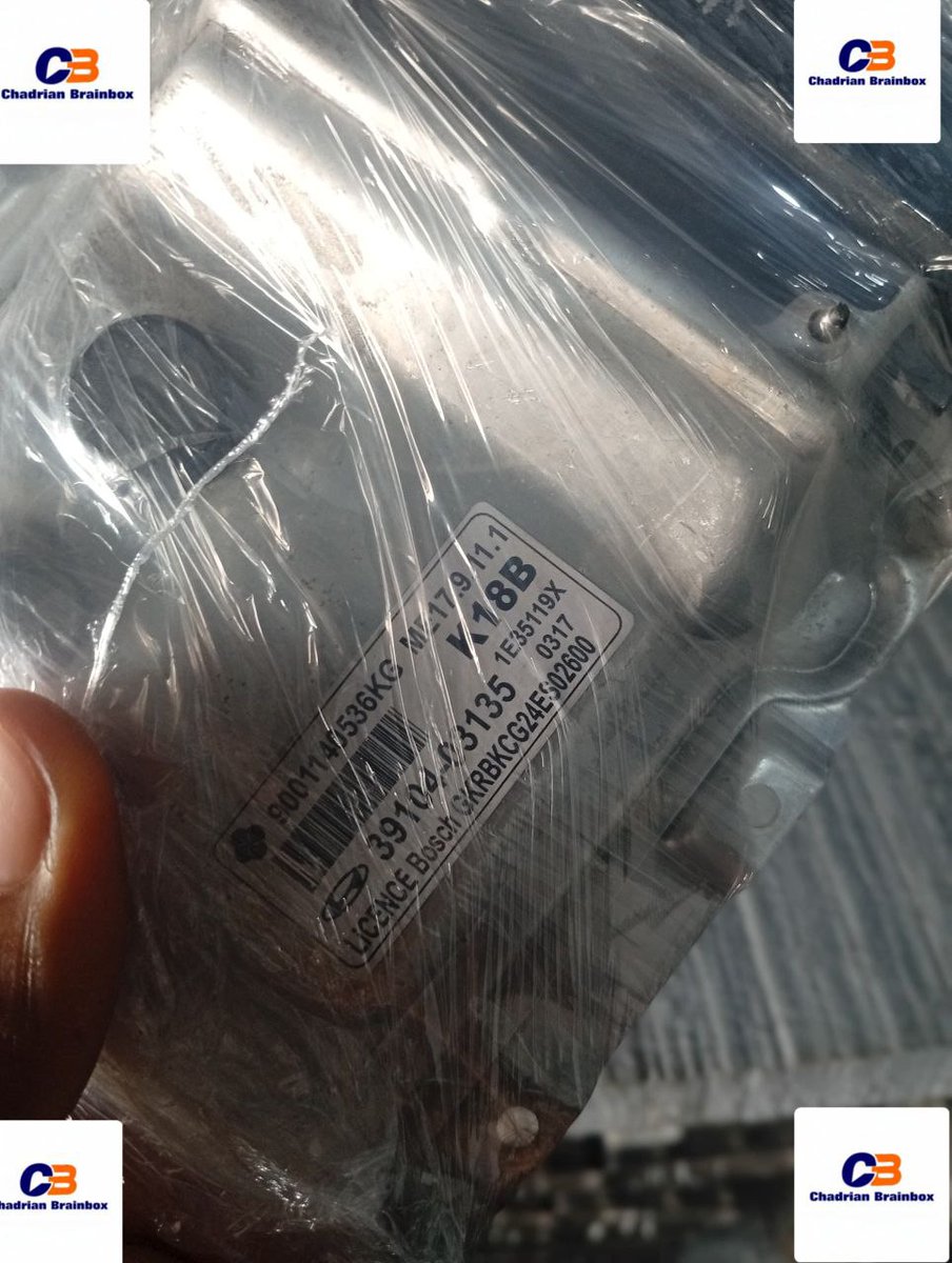 CHADRIAN BRAINBOX tweet media