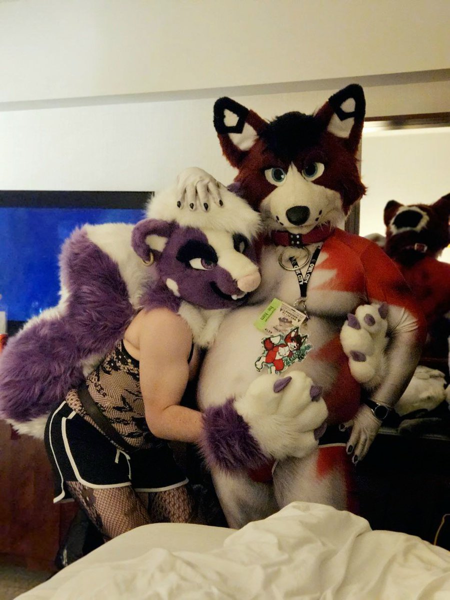 It's absolutely paramount to keep your skunks happy~ 🦨
w/ <a href="/SkunkScribble/">Remmy !🦨</a> 
📸: <a href="/hooskybutt/">Needyhusky</a>