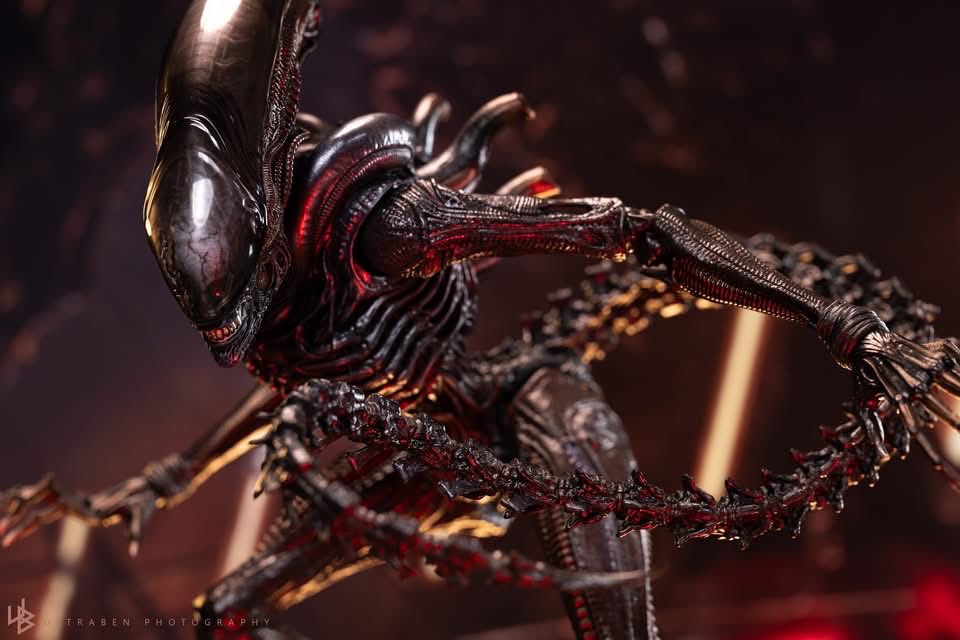 one6Update's tweet image. #HotToys released the Xenomorph from Alien Romulus.

#Sixth #SixthScale #HotToysCollectibles #ホットトイズ #actionfigures #Figures