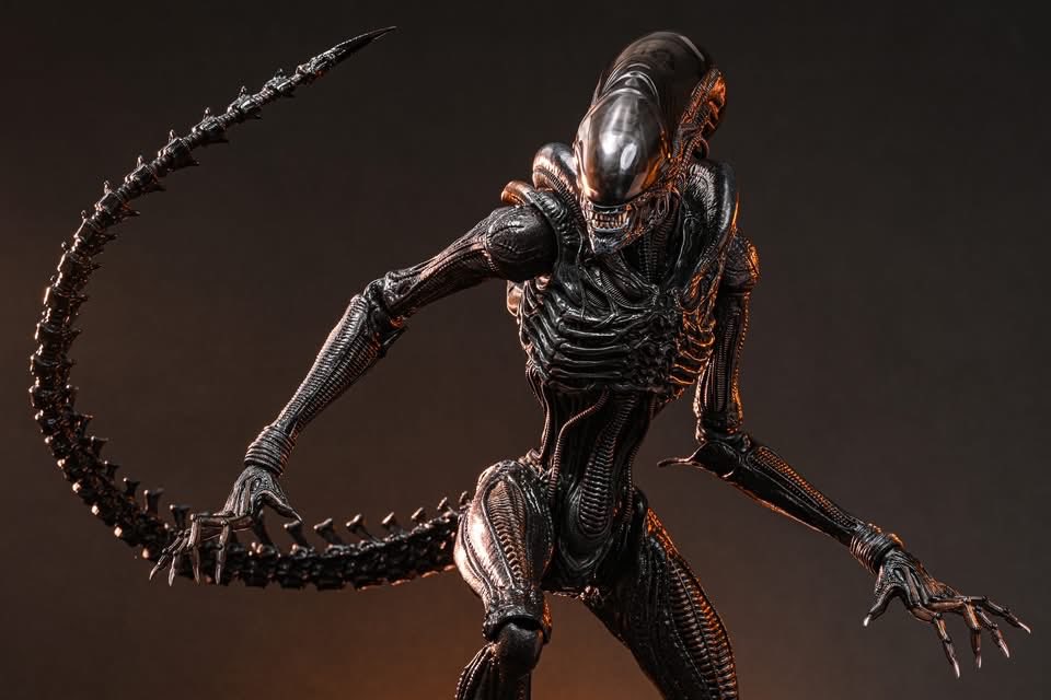one6Update's tweet image. #HotToys released the Xenomorph from Alien Romulus.

#Sixth #SixthScale #HotToysCollectibles #ホットトイズ #actionfigures #Figures