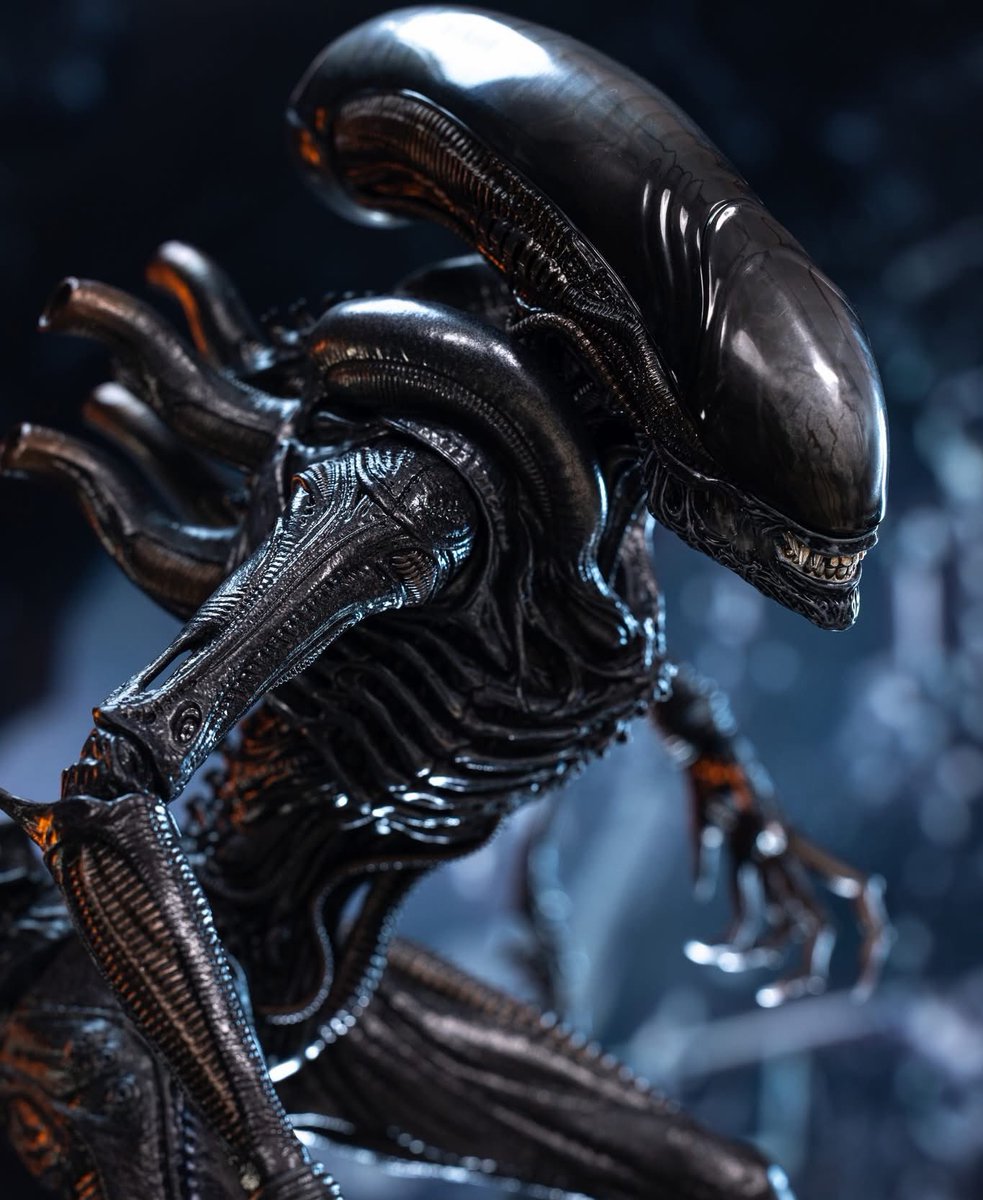 one6Update's tweet image. #HotToys released the Xenomorph from Alien Romulus.

#Sixth #SixthScale #HotToysCollectibles #ホットトイズ #actionfigures #Figures