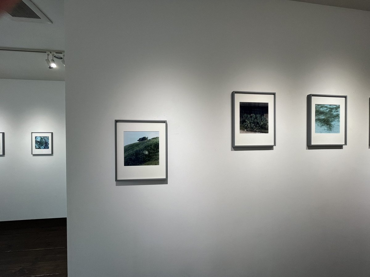 柿崎真子「音のはじまり」

なんか、ざわざわいする
身の回りにあるいろんなもの
なんて言葉にしたら良いのかわからないけど、写真から感じられる何か
とても良い展示
写真集もオススメ

2/22まで
POETIC SCAPE