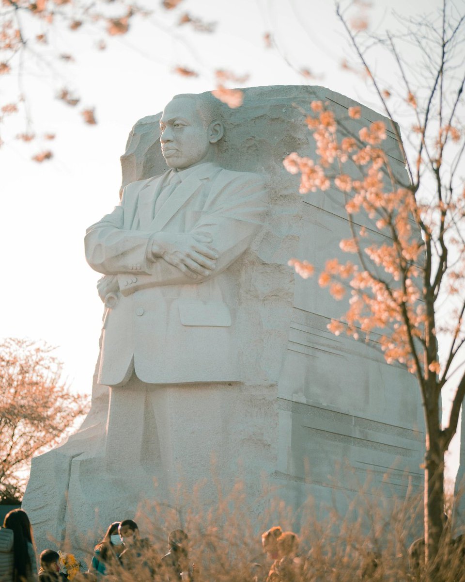 Vaya Health tweet media