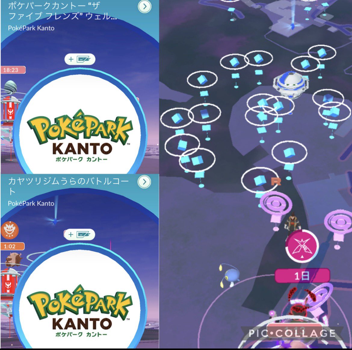 ポケパーク カントー フリーザー ポケパークカントー行きたい、フリーザーのロケカ、カヤツリジム背景が