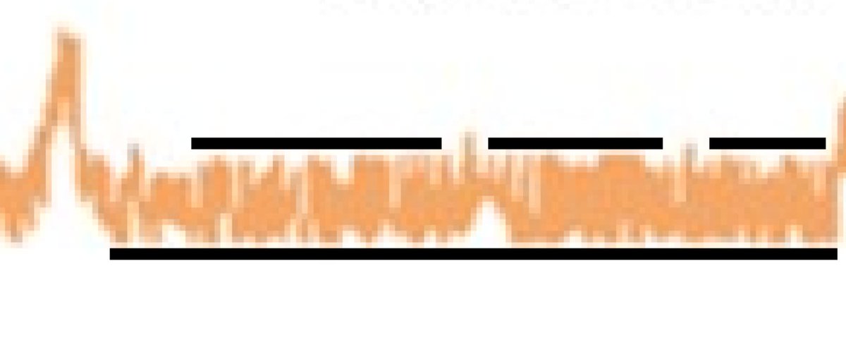 Armel Le Bail tweet media