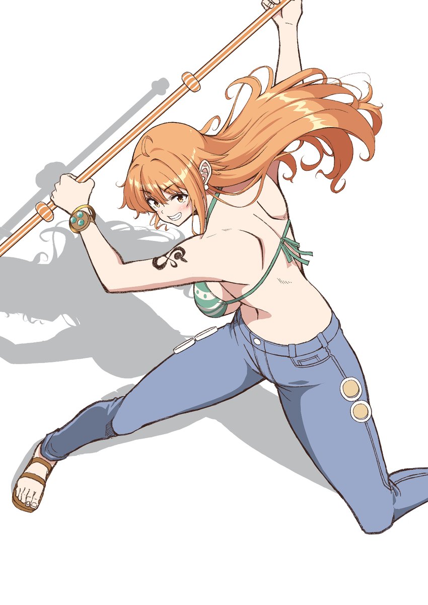 ポーマニ参考のナミすわぁん 