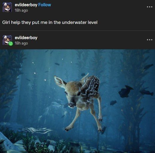 Deer in Places they Shouldn't Be tweet media