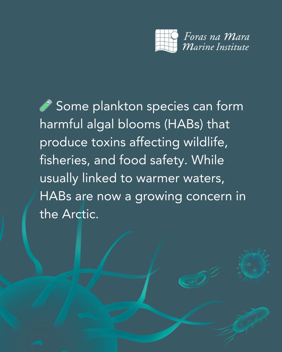 Marine Institute tweet media