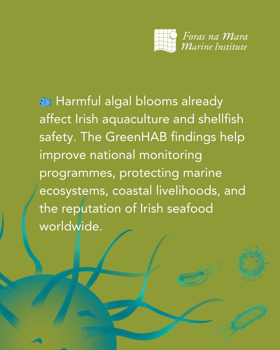 Marine Institute tweet media