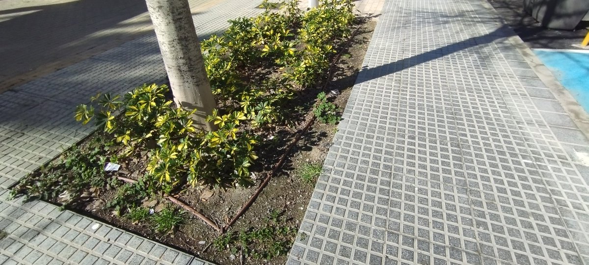 HuelinTV's tweet photo. Hoy, 19 de enero, finalizan los trabajos de la renaturalización. Repasaremos próximamente con representantes vecinales varias deficiencias que llevan destacando varios meses. Nos preguntamos también el porqué no tienen todas las jardineras un bordillo cómo en calle Altamira https://t.co/bWa3Medf8m