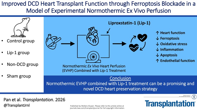Transplantation tweet media
