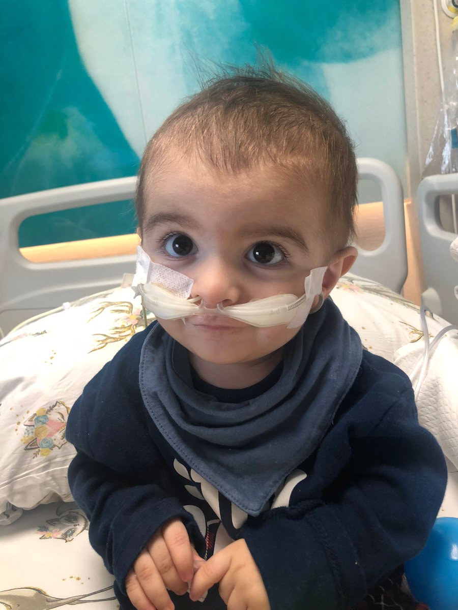 smamustafatalha's tweet photo. Sevgili abilerim, ablalarımm sizleriii birsürüüü  seviyorumm, bu zorlu mücadele de ellerimi hiç bırakmıyorsunuz. Ben inanıyorum sizler sayesinde kazanacağım, birlikte kazanacağızz. Sizinle güçleniyorum iyi kii varsınızz 🥹💙🙏

#ALYvFB #GSvGFK #sondakika #Survivor2026 #karyağışı #Kismetseolur #pazar #vaktigeldi #GüllerVeGünahlar #Veliaht #kizilcikşerbeti #TasacakBuDeniz 
Kartal'dan Yükselen Ses #StajÇıraklıkSGKBaşlangıcıOlsun