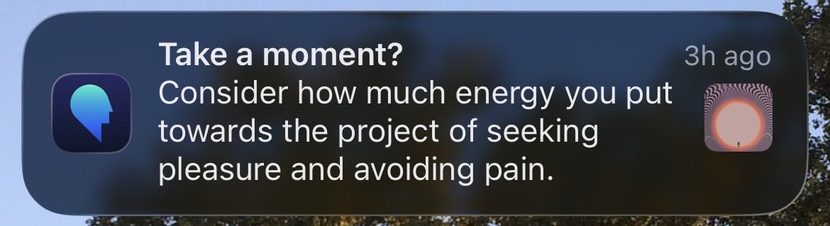 It showed up when I needed clarity.

"We spend our lives trying to control our experience. Consider for a moment how much energy you put towards the project of seeking pleasure and avoiding pain. Just reflect on how ceaseless this churning of the hamster wheel is, and see if you