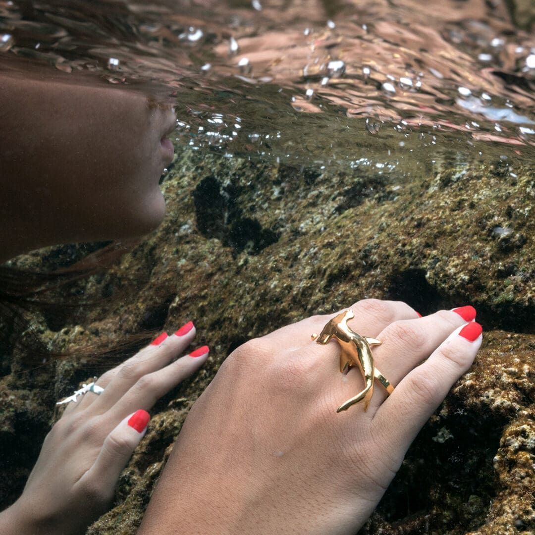 AllAmerican.org tweet media