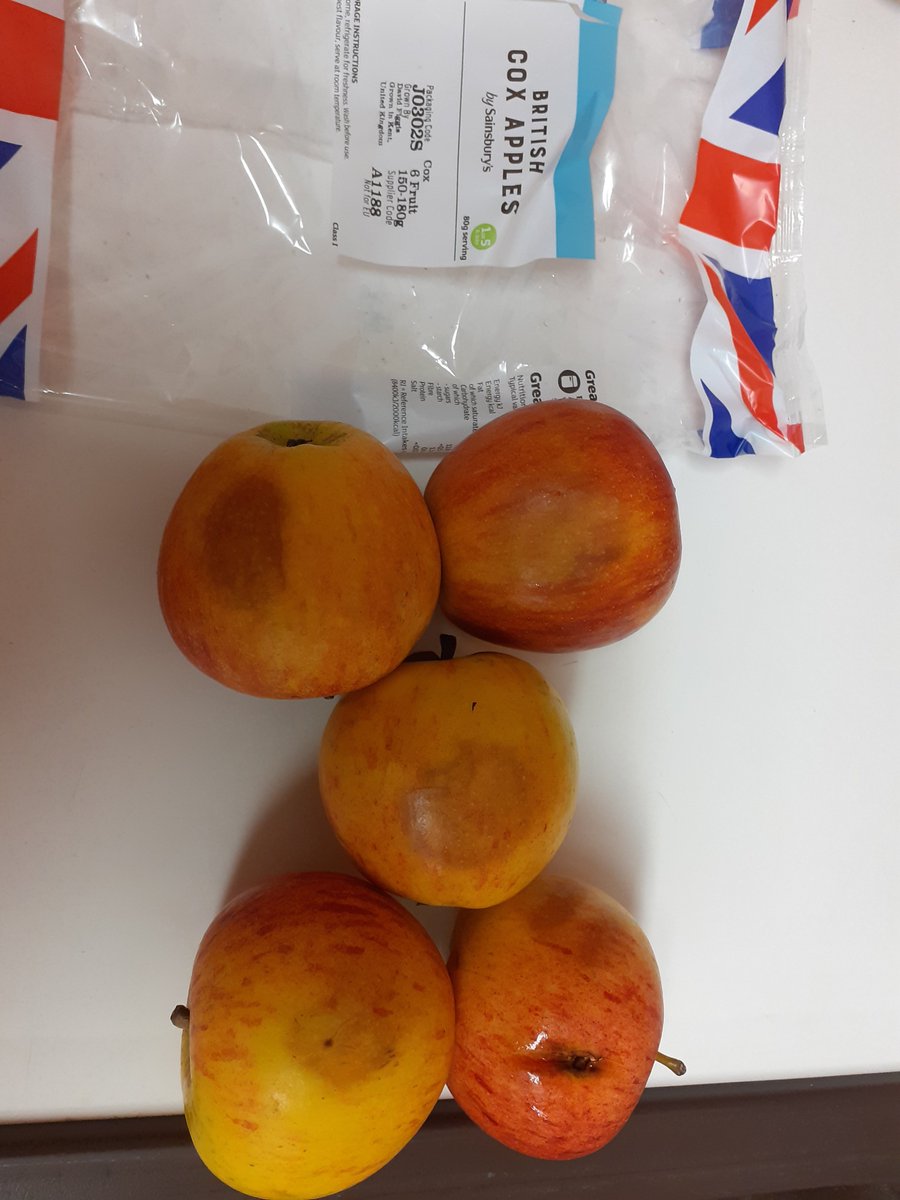 WaltonLaura's tweet photo. . @sainsburys please can we have a refund for a muller rice with a hole in the lid and packet of apples which 5 out of 6 are damaged? https://t.co/ZxndkQgW8r