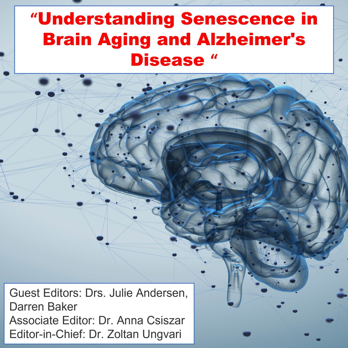 📢#CallForPapers

The Call is still open on #senescence in #brain #aging and #Alzheimers disease!

#vascularcognitiveimpairment #neuroinflammation #senolytictherapies

Submit your paper today! 📩

link.springer.com/journal/11357/…