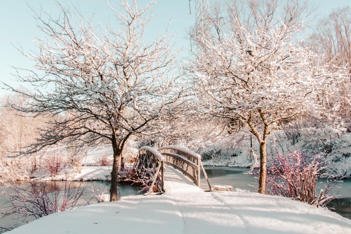 Your input matters! 💬 

The Draft Parks &amp; Recreation Master Plan Update and Community &amp; Aquatic Centre Feasibility Study are now available for review, and we want to hear from our community!

📄 Learn more &amp; view the draft plans: tinyurl.com/et3np5nx 

#TheRailwayCity