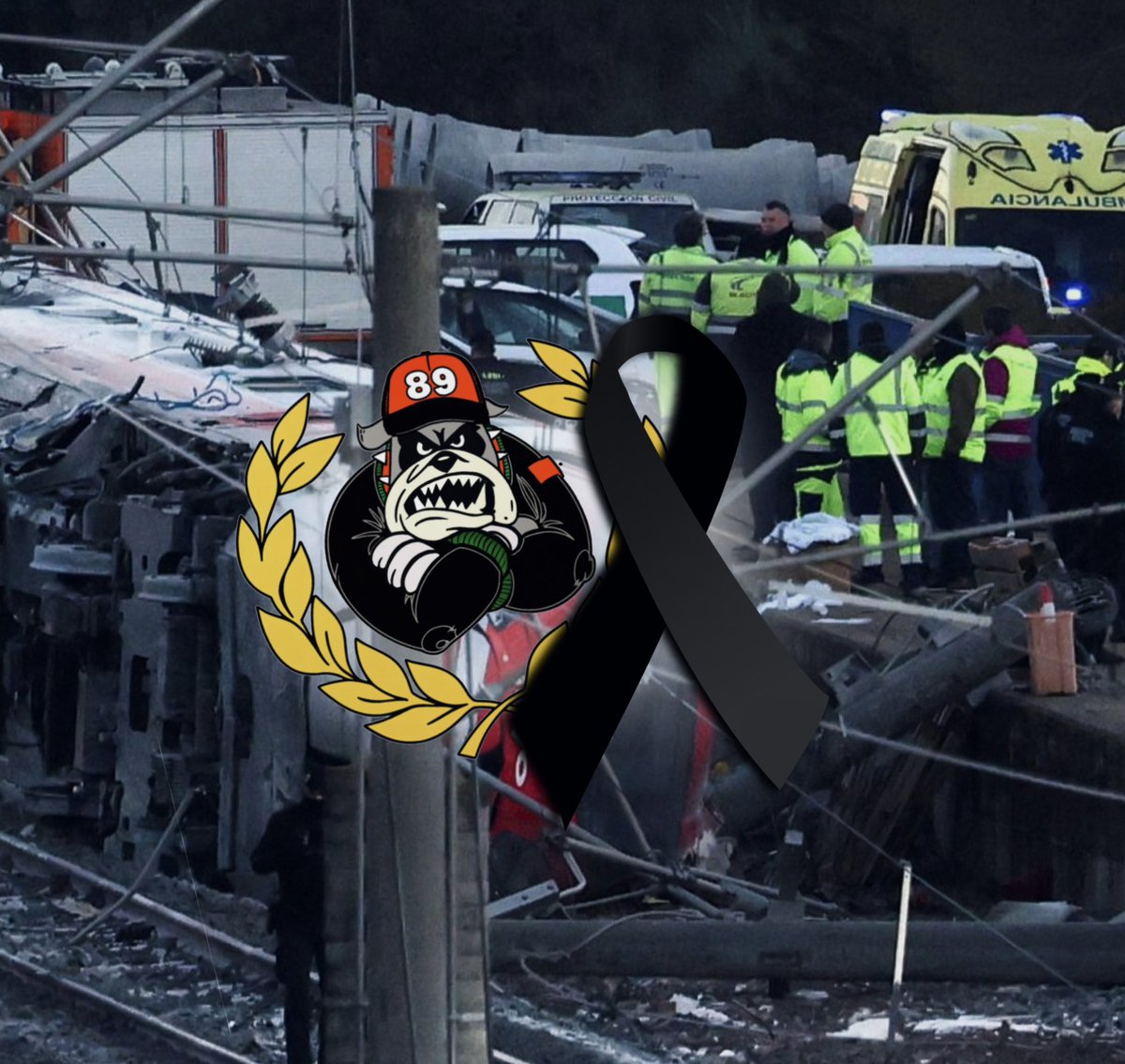 Desde Brigadas Alcalaínas queremos mostrar nuestro pésame con todas las víctimas y afectados en el trágico accidente de Adamuz. D.E.P.