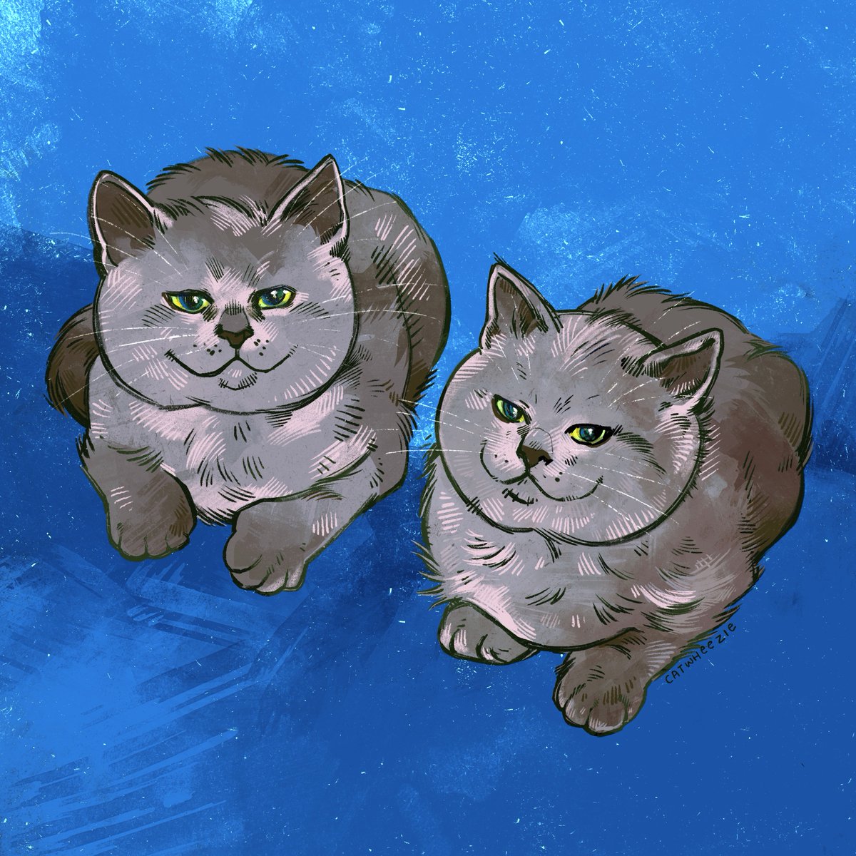 catwheezie tweet picture