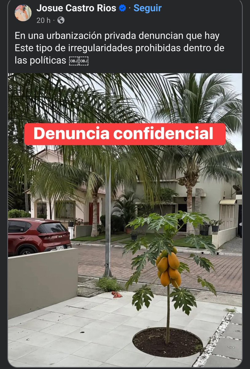 no les molesta vivir entre narcos, les molesta que la vecina plante papayas