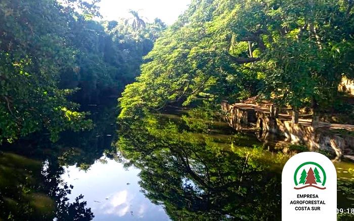 La Empresa Agroforestal Costa Sur, cliente de #PáginasAmarillasDeEtecsa , administra bosques naturales, plantaciones forestales y cultivos, fomentando la conservación y aprovechamiento sostenible.🌳🌿
Visite el micrositio 📲 pamarillas.cu/micrositio/emp… para conocer sus productos.