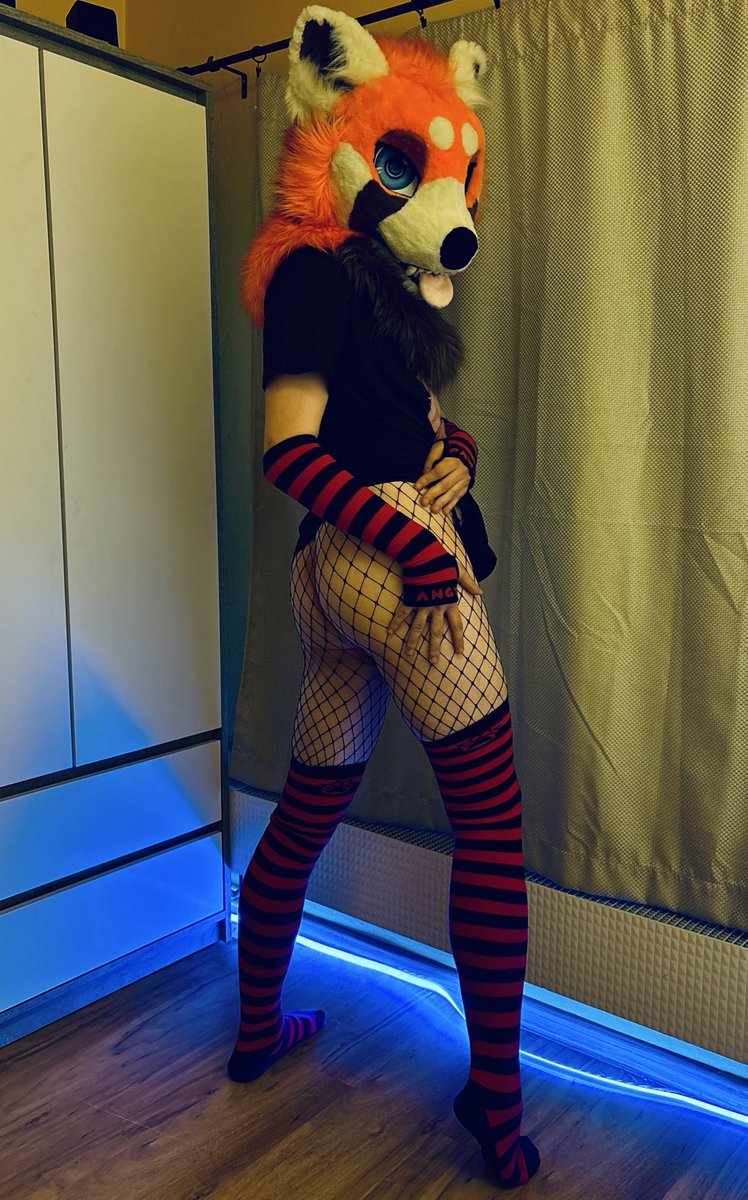 Wahtrowski tweet media