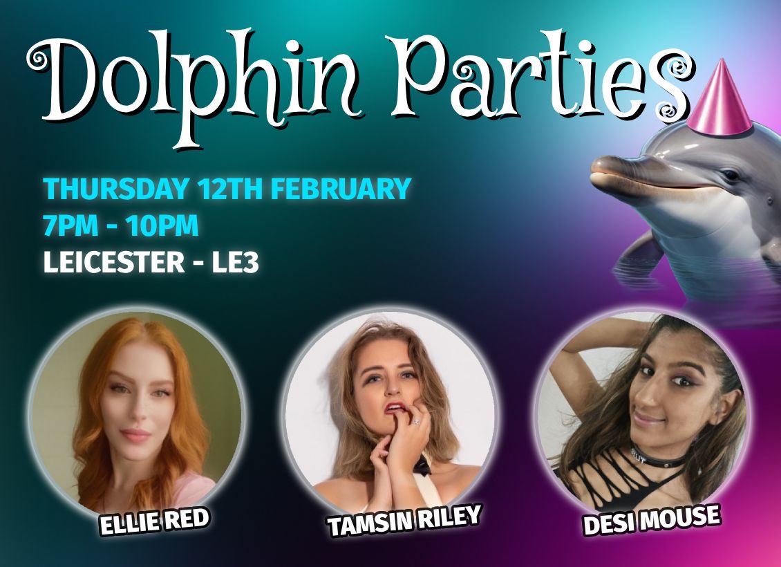 Dolphin Parties tweet media