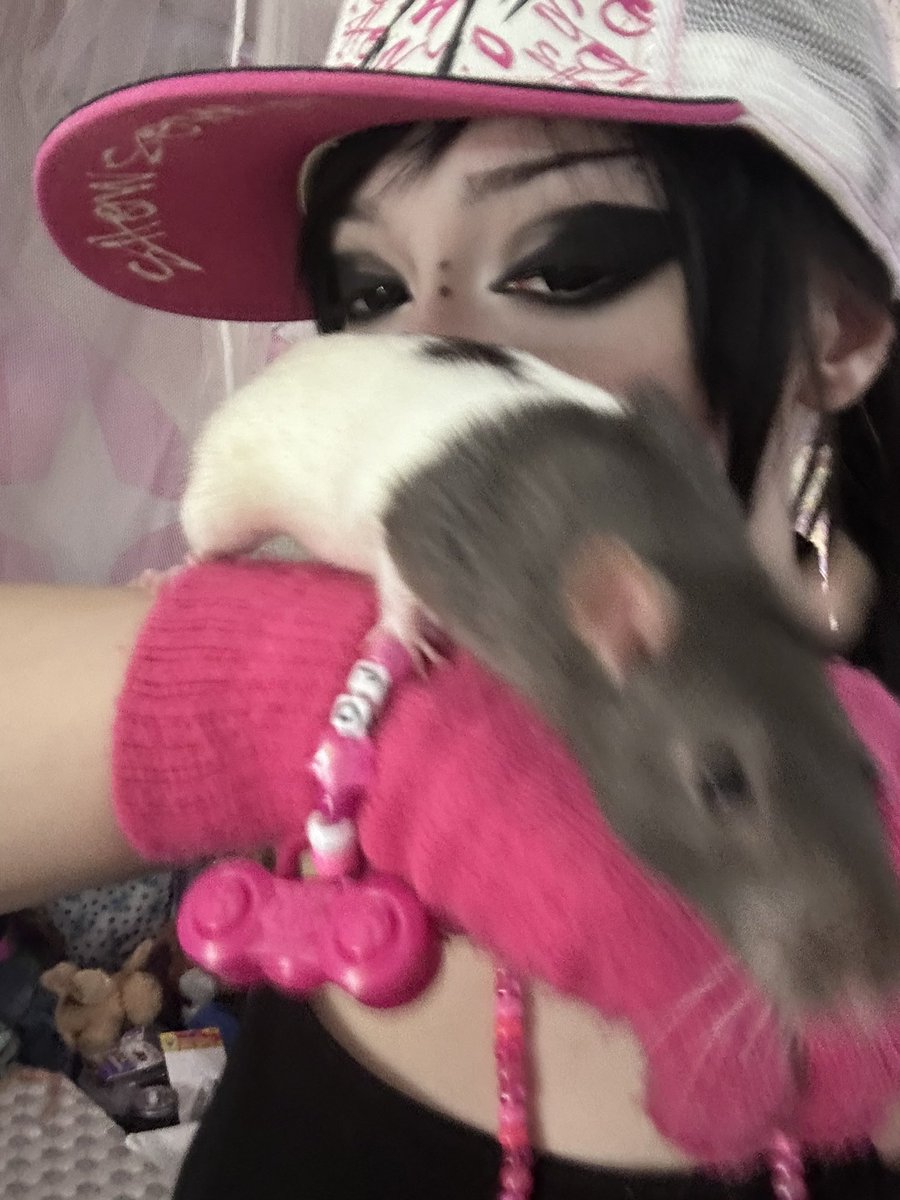 -⃝⃤DOGMATiCA ⚧︎ tweet media