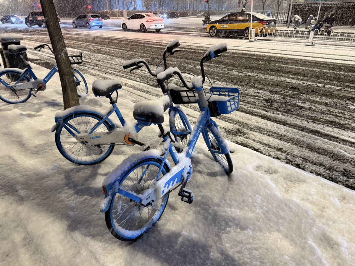 suyang1113's tweet photo. Snowy day❄️~in Beijing🇨🇳 https://t.co/lJaRpk2Zug