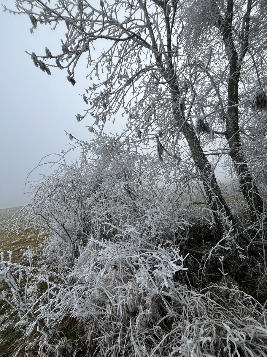 noah.kda tweet media