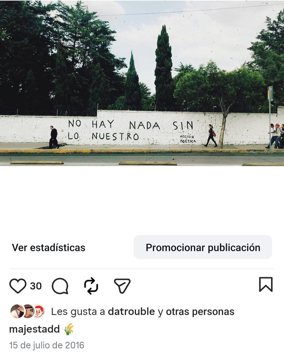 Majo  Torres tweet media