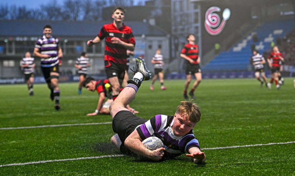 Leinster Domestic tweet media