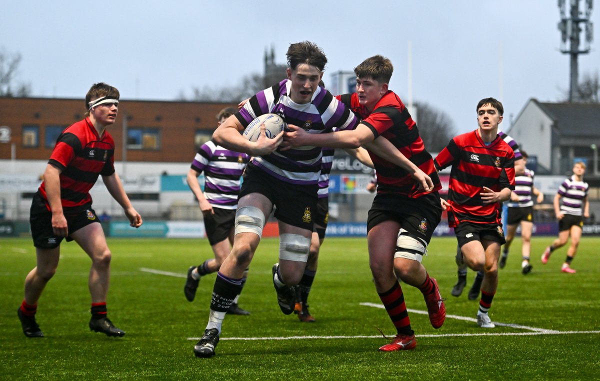 Leinster Domestic tweet media