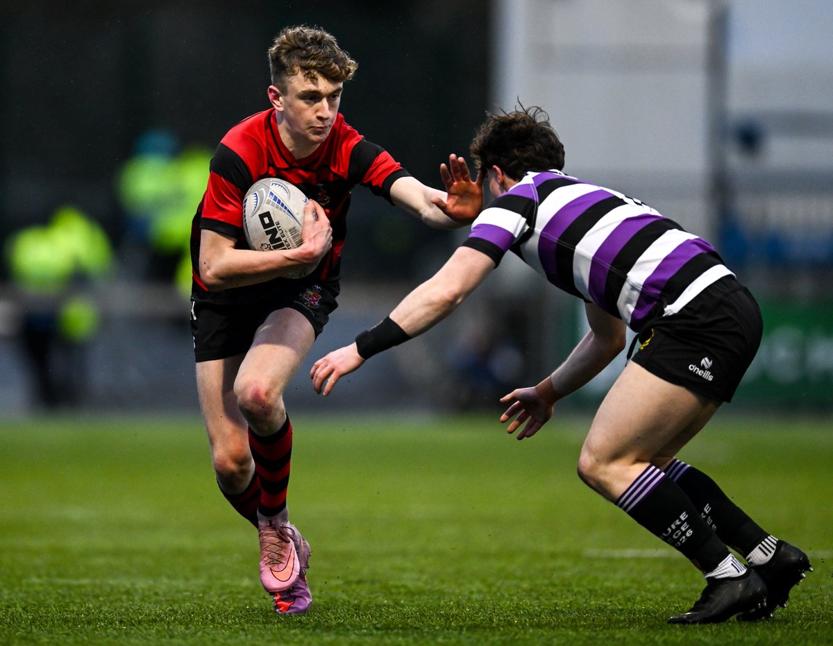 Leinster Domestic tweet media