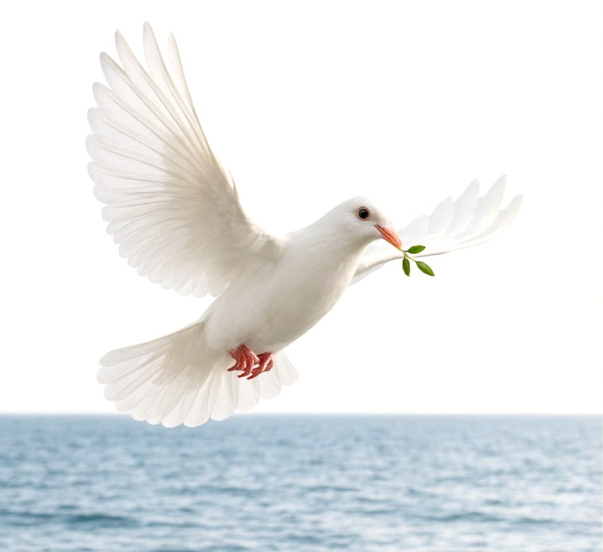 HUMOUR : Annexion sur sable fin... Voir✍ infobassin.com/un-sauveur/
Un sauveur pour le Bassin!
#bassindarcachon #arcachon #latestedebuch #ileauxoiseaux #dunedupilat #bassinarcachon