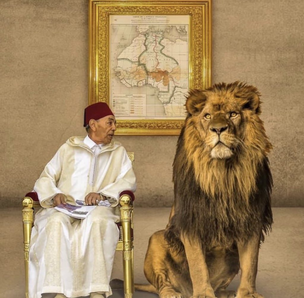 🇲🇦 | Si tu vois ton ami avec ton ennemi , sache que les deux sont tes ennemis, l’un secrètement et l’autre publiquement .
(Hassan 2 Allah y rahmo)