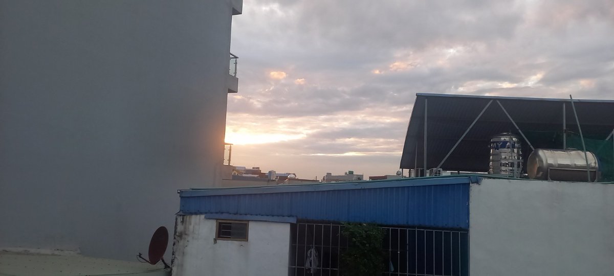 Hạnh Hoàng tweet media