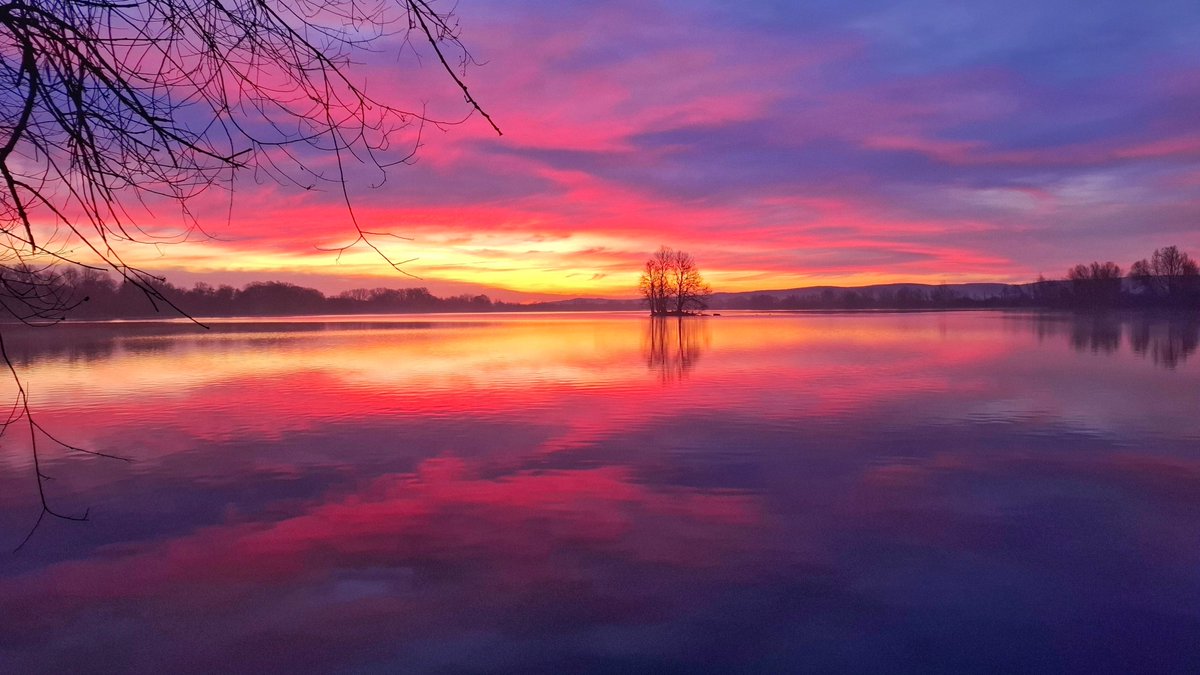 WetterOnline's tweet image. 🌅 Farbspektakel am Morgen
Der Sonnenaufgang am 16.01.2026 in Nordhausen, leuchtete rund 10 Minuten lang in intensiven Rot- und Pinktönen. Durch die Spiegelung im See wirkte die Szenerie fast unwirklich.
 
📷 Kerstin Göthel 

#sonnenaufgang #sonne #morgenrot #nordhausen