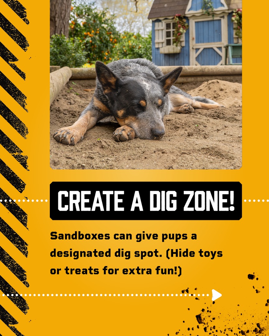 Arkansas811's tweet image. Whether they’re bored, plotting their great escape, hunting or just having fun, most dogs love to dig. Try these simple tips to prevent your furry friend from digging up trouble. AR811.org

#dogmom #dogdad #811 #call811 #arkansas811 #safedigging #digging