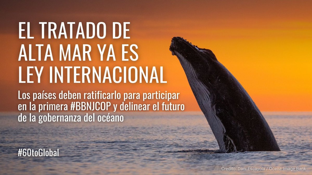 AIDA Americas tweet media